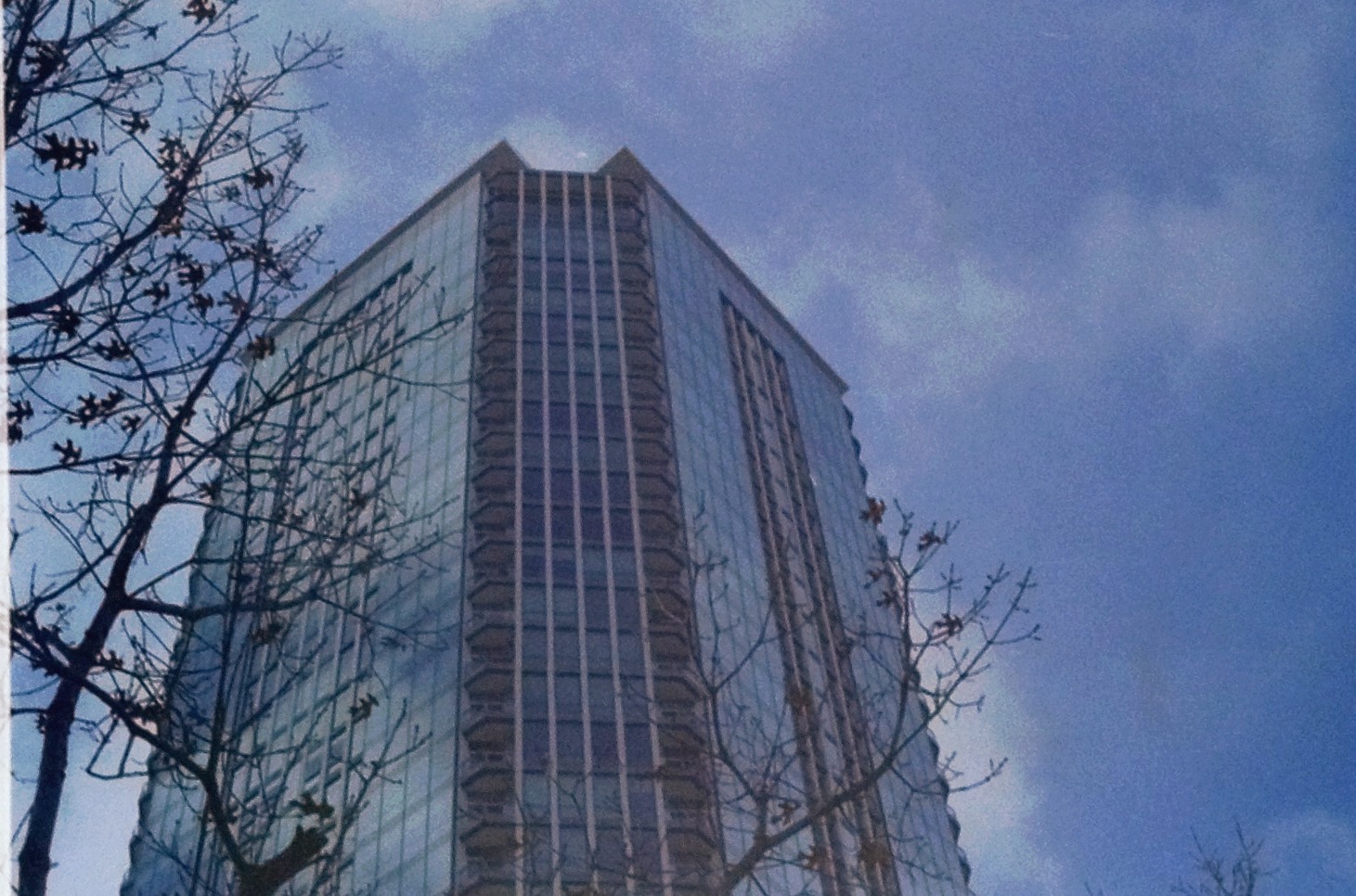 The Tower